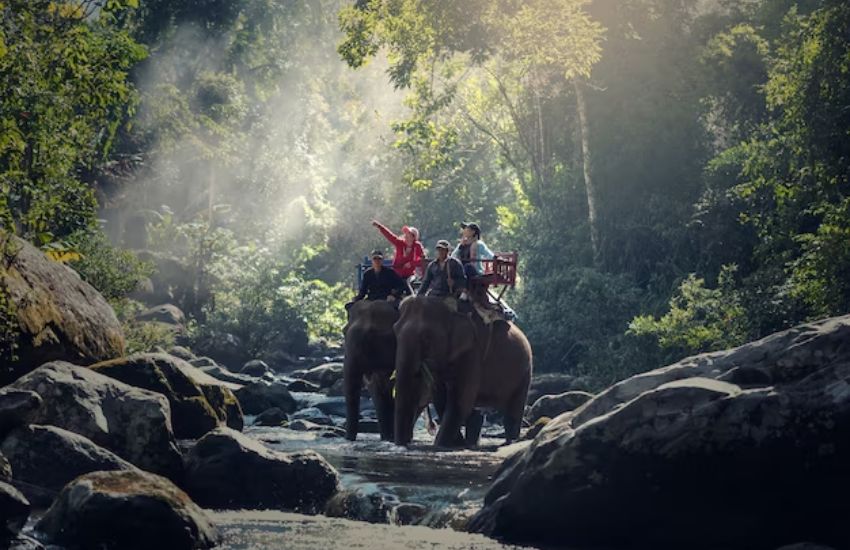 Elephant Ride