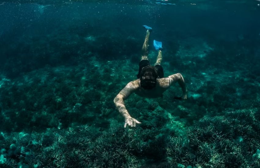 Bali Sea Walker