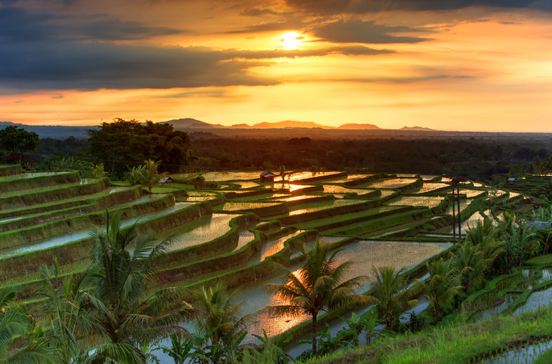 Interesting Facts about Bali Island  
