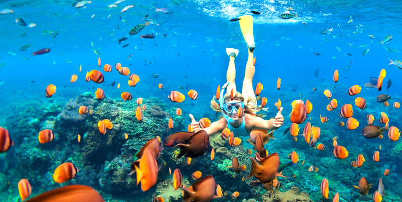 Blue Lagoon Snorkeling: Mengungkap Keindahan Bawah Laut yang Memukau