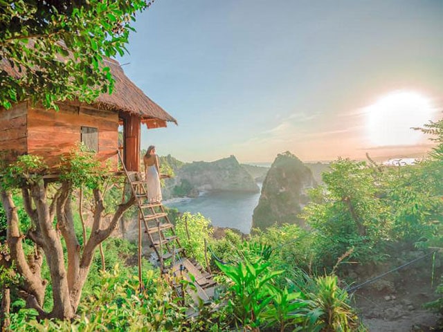 Rumah Pohon Molenteng: Pengalaman Tak Terlupakan di Nusa Penida