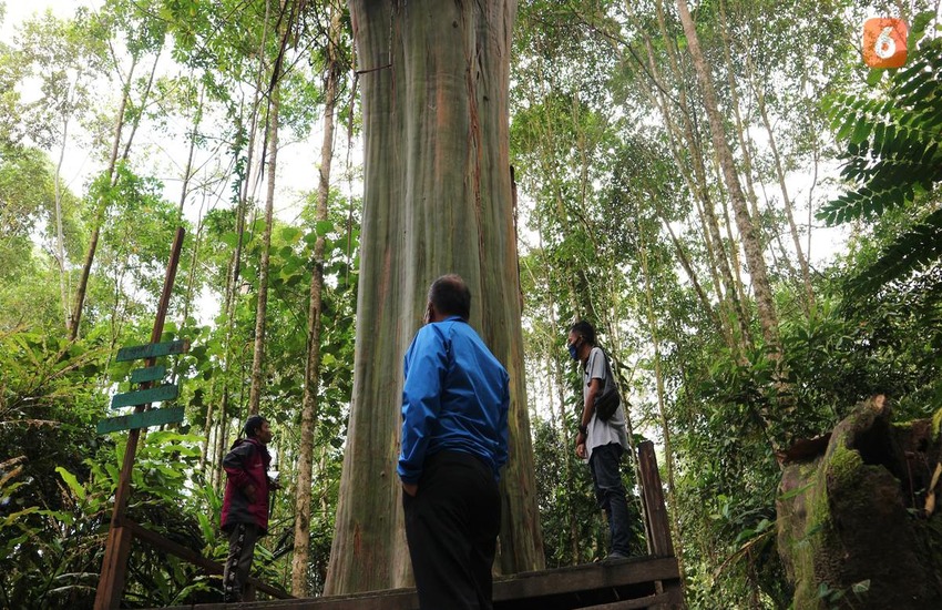 Menjaga Kelestarian Alam di Tempat Wisata Agar Tetap Mempesona