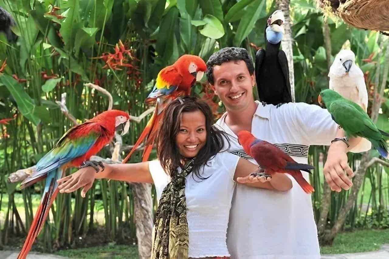 Eksplorasi Unik di Bali Bird Park: Tempat Terbaik untuk Menyaksikan Keindahan Burung Tropis